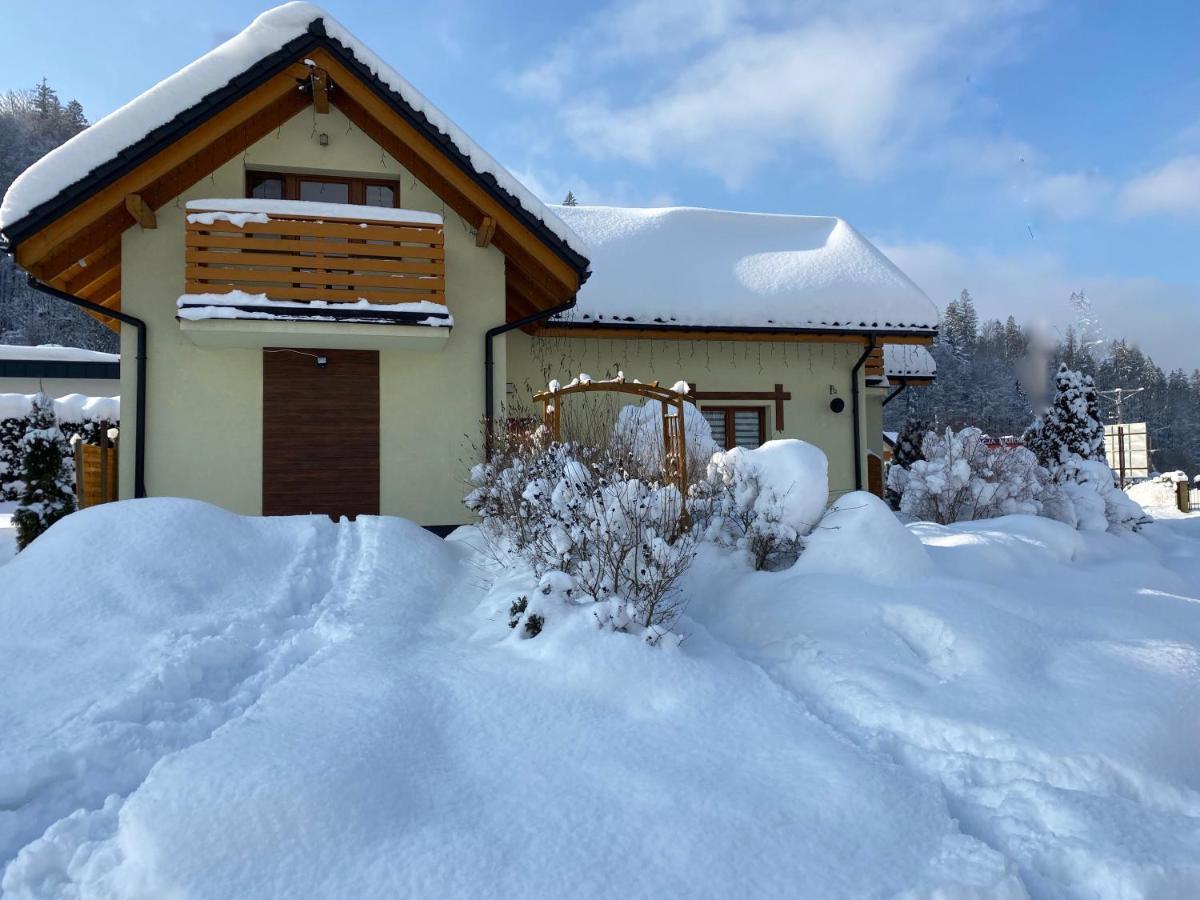Willa Vistula Domki Na Wylacznosc Wisła Exterior foto